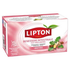Lipton soolestikku toetav tee 17X1,9 g
