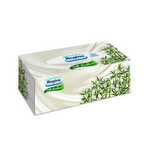 Regina Box Bamboo 4-kihiline 96 lehte